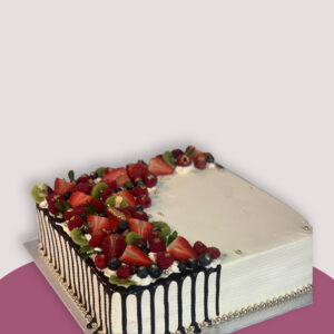Square Cakes LSQ7